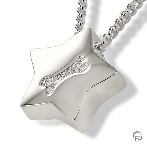 Star with Bone Detail Cremation Pendant