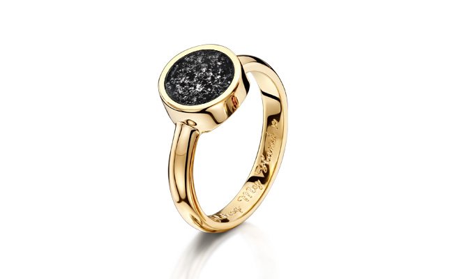 Tribute Ring with Black Gem and 9CT Gold Band