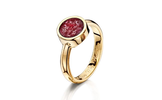Tribute Ring with Ruby Gem and 9CT Gold Ring
