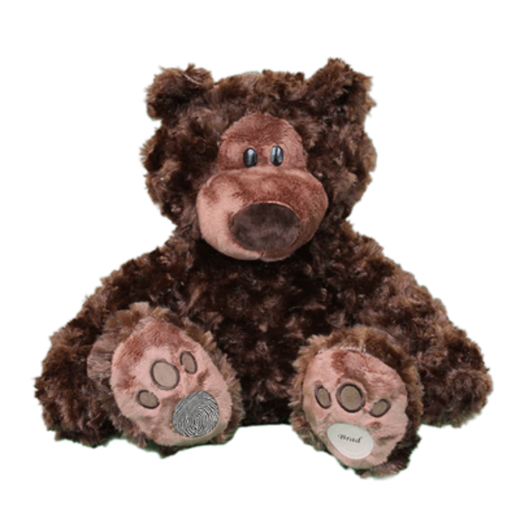 Brown cuddly bear