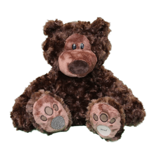 Brown cuddly bear