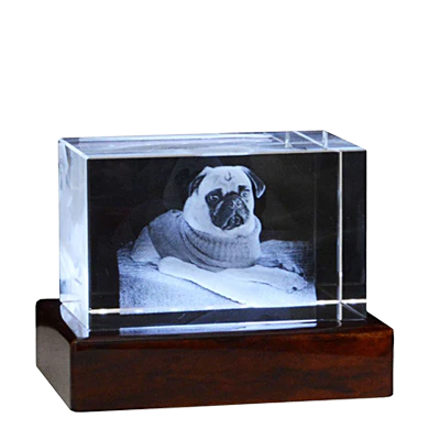 3D Crystal rectangle with image inside